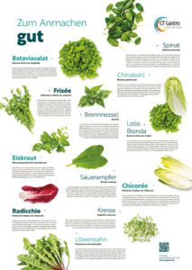 Salate: Zum Anmachen gut